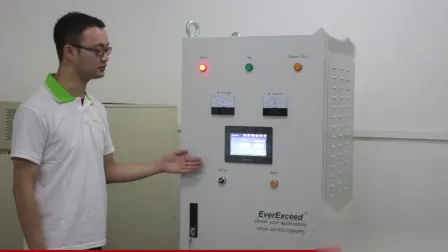 Everexceed 12V5a haute fréquence