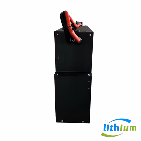 Batterie au lithium 12V 24V 100ah 200ah 300ah 50ah 12V/24V LiFePO4 batterie pour prix d'usine solaire